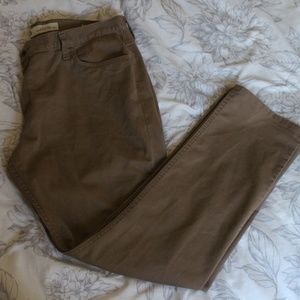 Vans slim fit chino pants